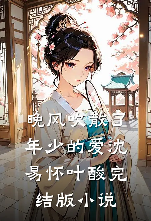 晚风吹散了年少的爱沈易怀叶酸完结版小说