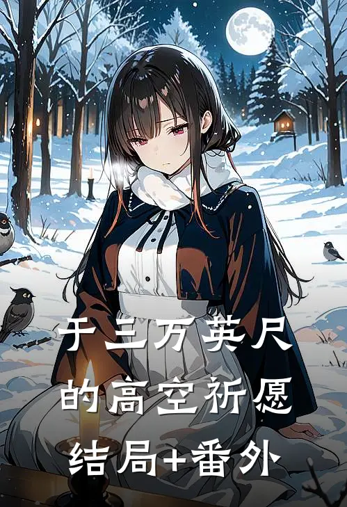 于三万英尺的高空祈愿结局+番外