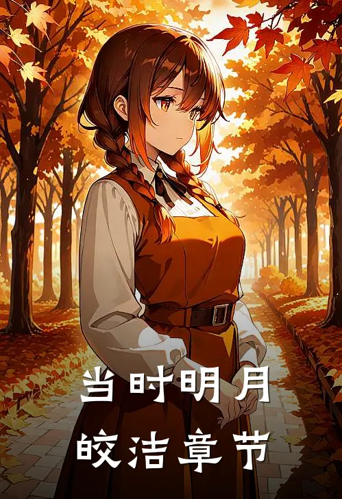 当时明月皎洁章节