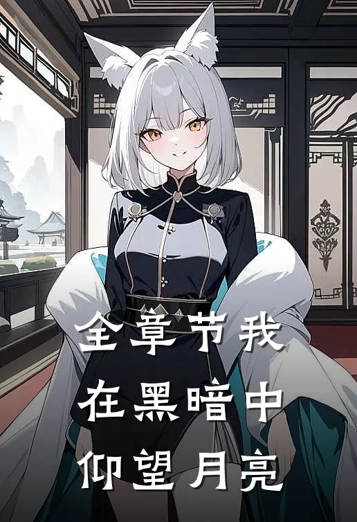 全章节我在黑暗中仰望月亮