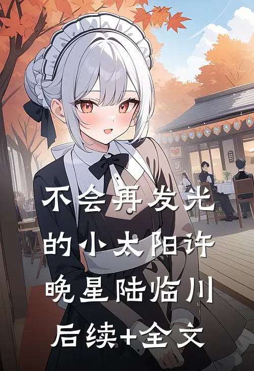 不会再发光的小太阳许晚星陆临川后续+全文