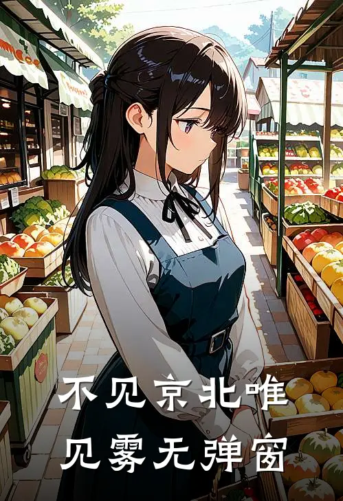 不见京北唯见雾无弹窗