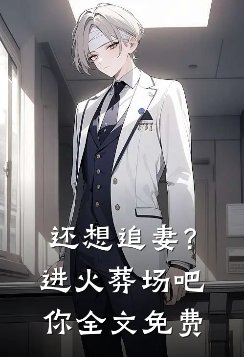还想追妻？进火葬场吧你全文免费