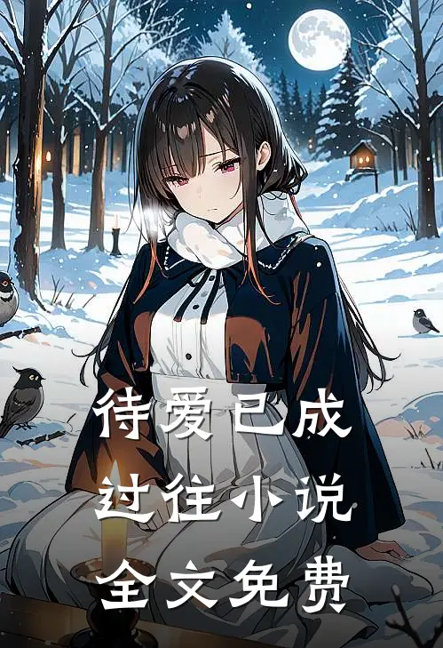 待爱已成过往小说全文免费