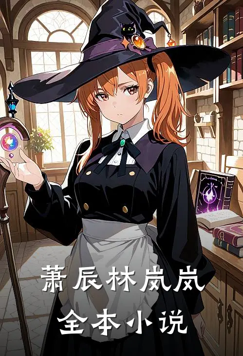 萧辰林岚岚全本小说
