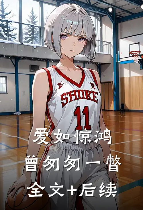 爱如惊鸿，曾匆匆一瞥全文+后续