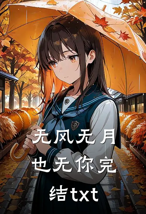 无风无月也无你完结txt