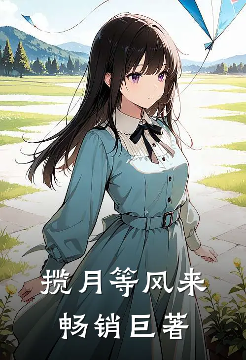 揽月等风来畅销巨著