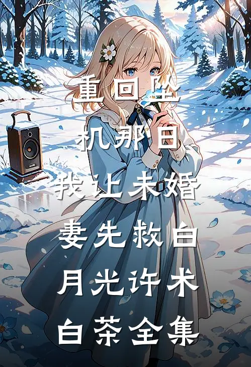 重回坠机那日，我让未婚妻先救白月光许术白茶全集