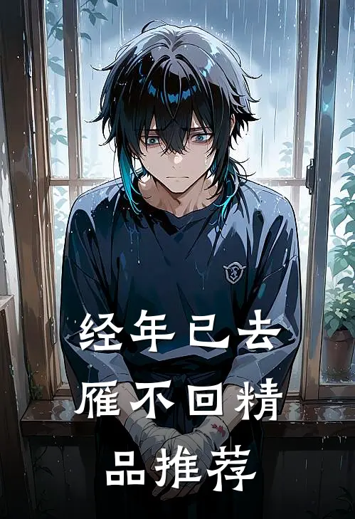 经年已去雁不回精品推荐