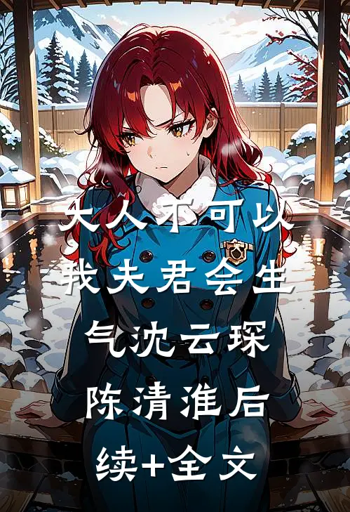 大人不可以，我夫君会生气沈云琛陈清淮后续+全文