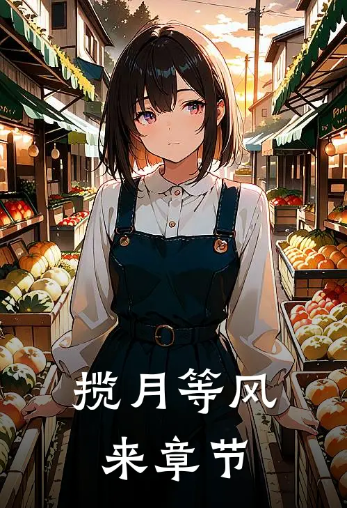 揽月等风来章节