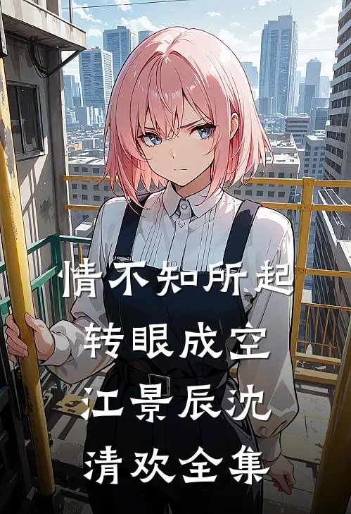 情不知所起，转眼成空江景辰沈清欢全集