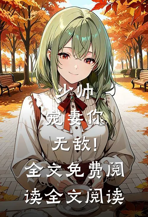 少帅,宠妻你无敌!全文免费阅读全文阅读