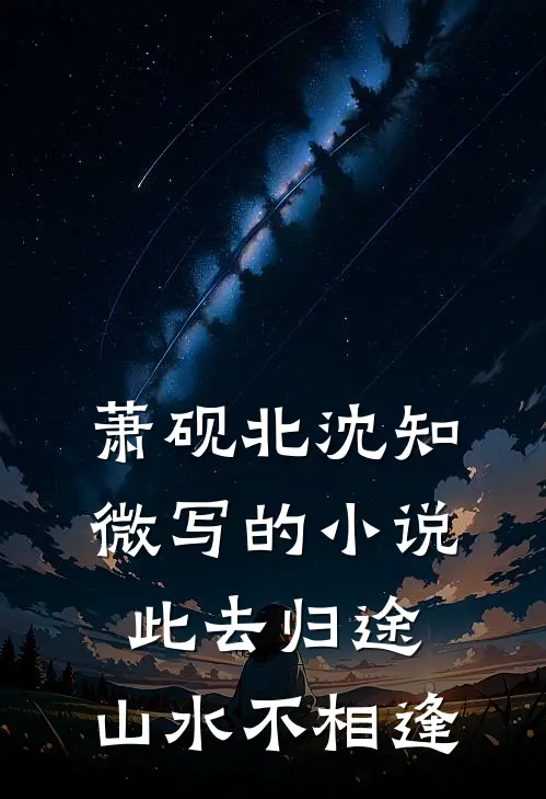 萧砚北沈知微写的小说此去归途，山水不相逢