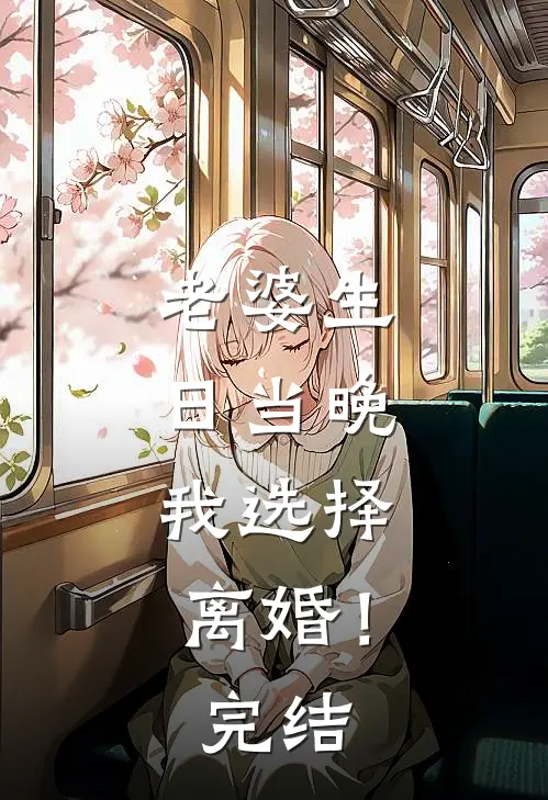 老婆生日当晚，我选择离婚！完结