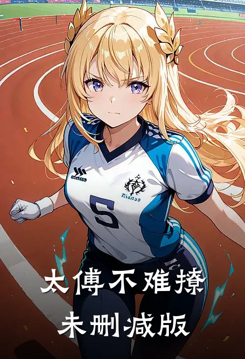 太傅不难撩未删减版