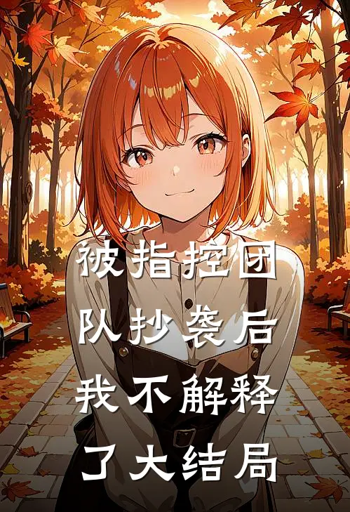 被指控团队抄袭后，我不解释了大结局