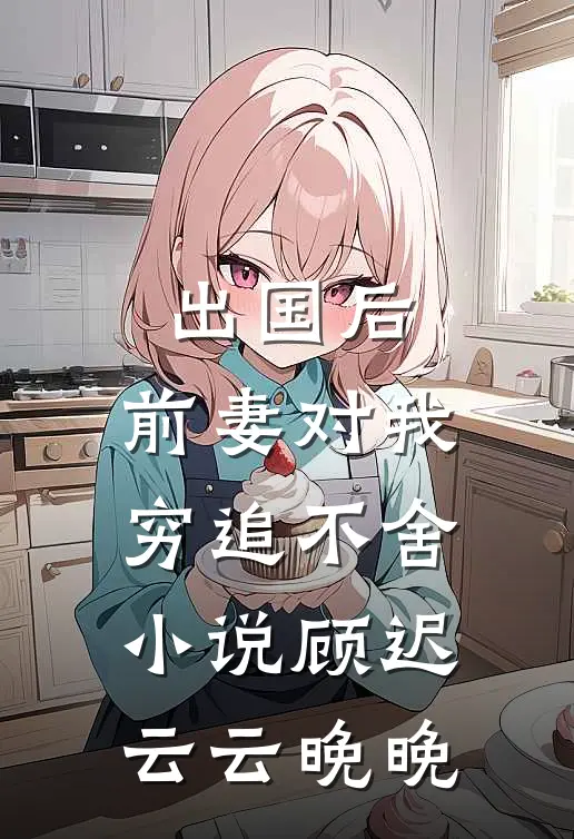 出国后，前妻对我穷追不舍小说顾迟云云晚晚