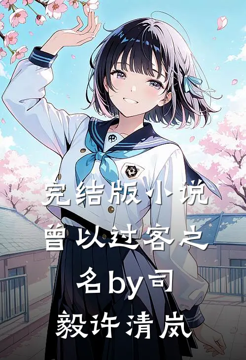 完结版小说曾以过客之名by司毅许清岚