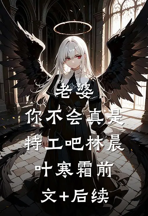 老婆，你不会真是特工吧林晨叶寒霜前文+后续