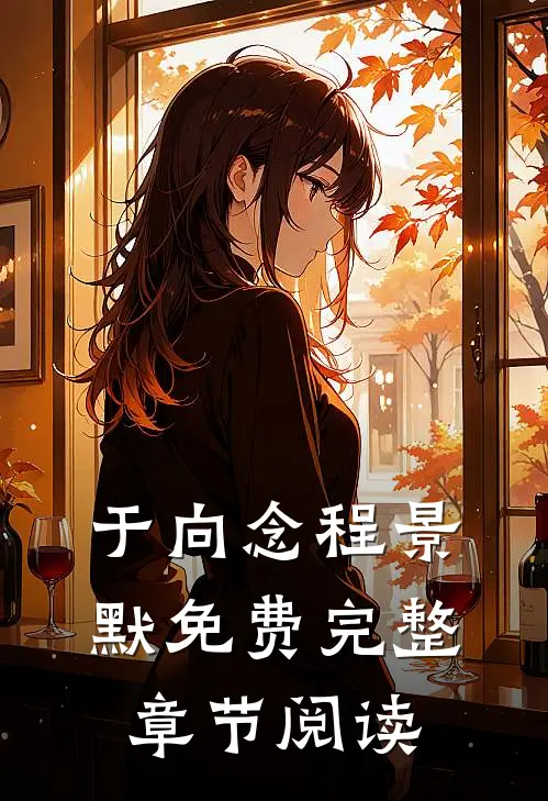 于向念程景默免费完整章节阅读