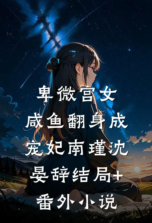 卑微宫女，咸鱼翻身成宠妃南瑾沈晏辞结局+番外小说