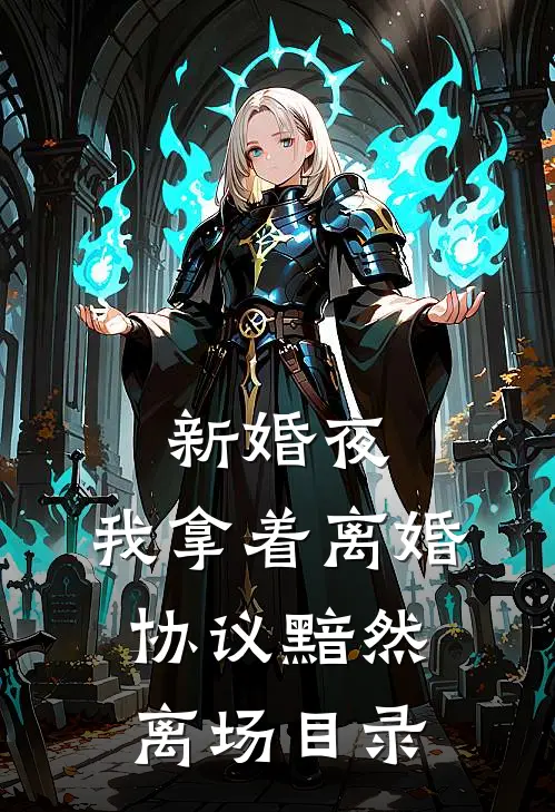 新婚夜，我拿着离婚协议黯然离场目录