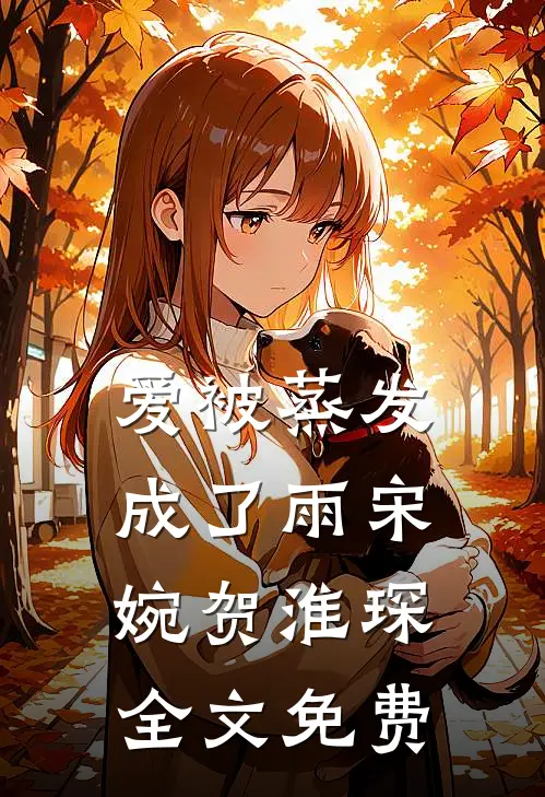 爱被蒸发成了雨宋婉贺淮琛全文免费