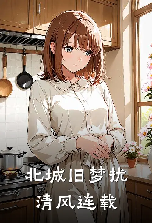 北城旧梦扰清风连载