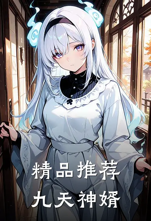 精品推荐九天神婿