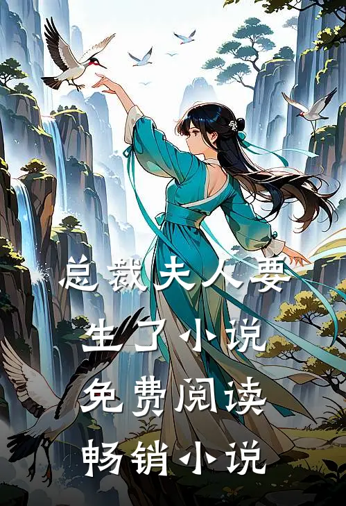 总裁夫人要生了小说免费阅读畅销小说