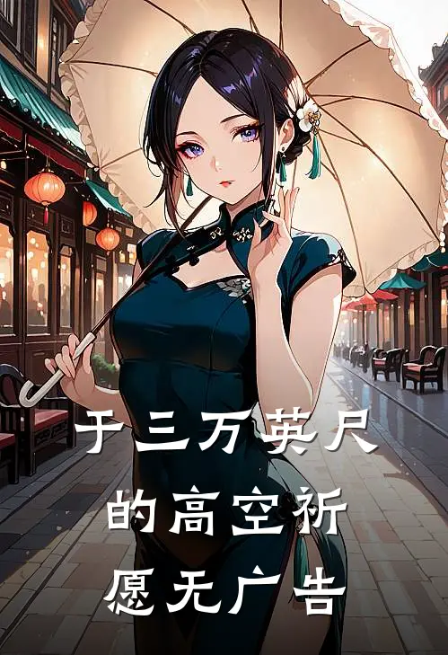 于三万英尺的高空祈愿无广告