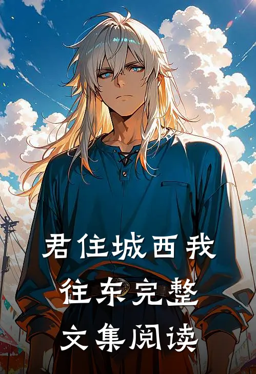 君住城西我往东完整文集阅读