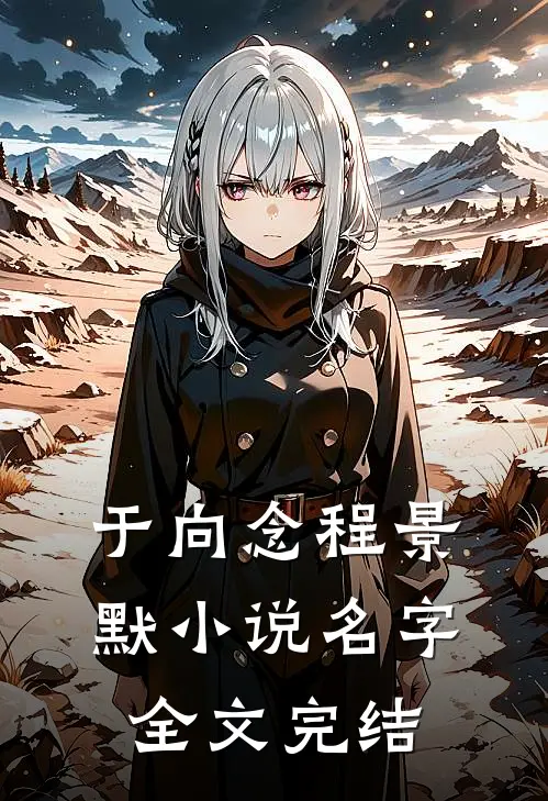 于向念程景默小说名字全文完结
