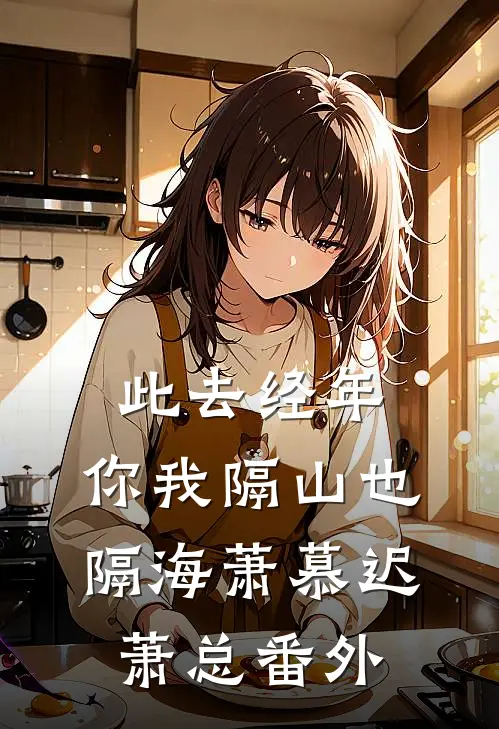 此去经年，你我隔山也隔海萧慕迟萧总番外