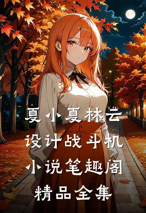 夏小夏林云设计战斗机小说笔趣阁精品全集
