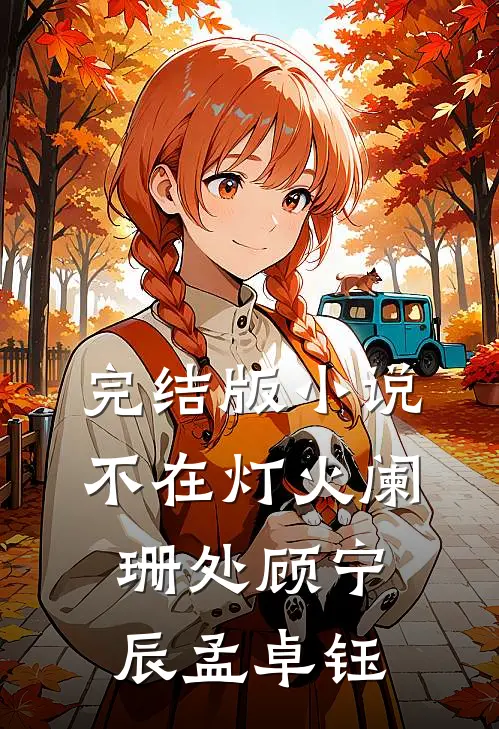 完结版小说不在灯火阑珊处顾宁辰孟卓钰