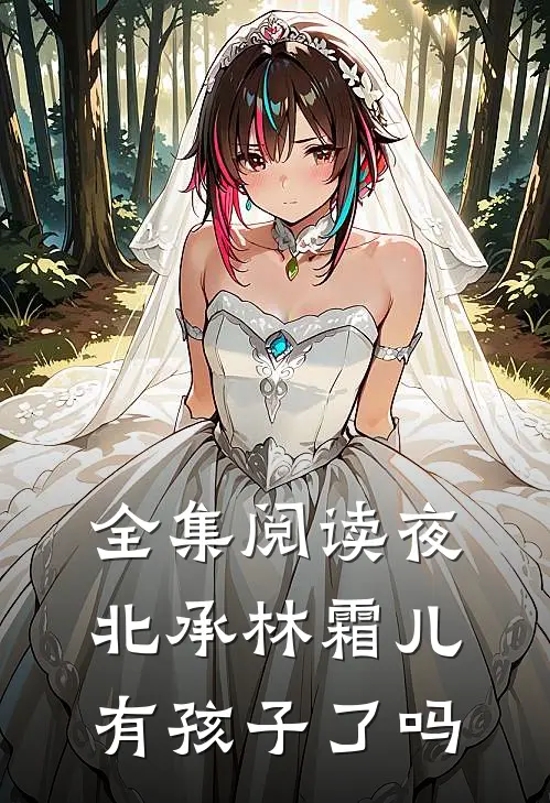 全集阅读夜北承林霜儿有孩子了吗