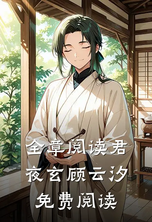 全章阅读君夜玄顾云汐免费阅读