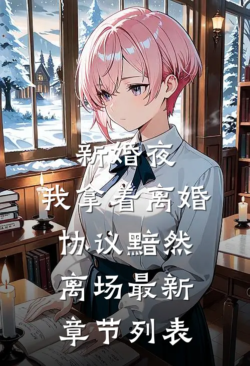 新婚夜，我拿着离婚协议黯然离场最新章节列表