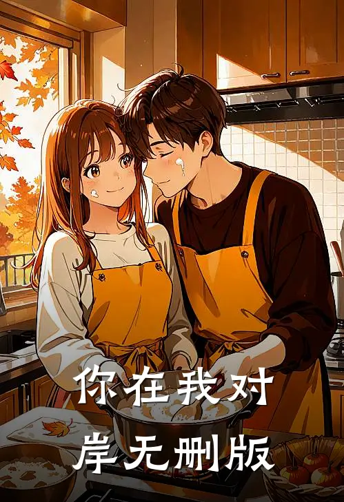 你在我对岸无删版