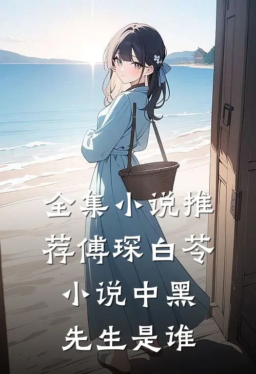 全集小说推荐傅琛白苓小说中黑先生是谁