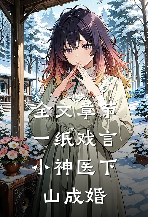 全文章节一纸戏言，小神医下山成婚