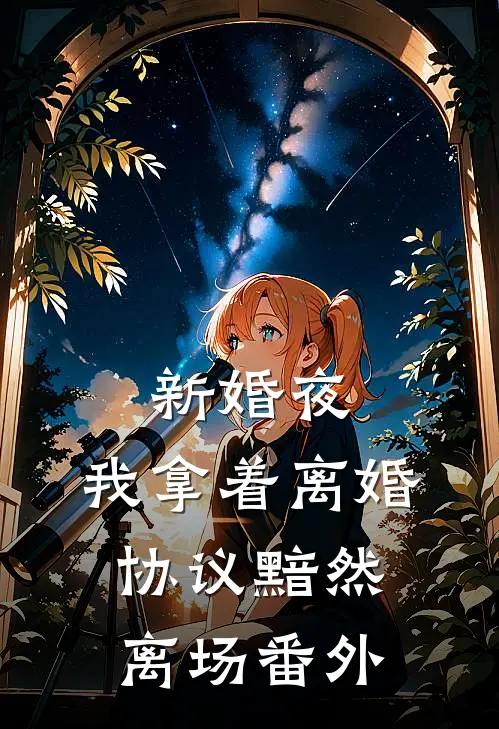 新婚夜，我拿着离婚协议黯然离场 番外