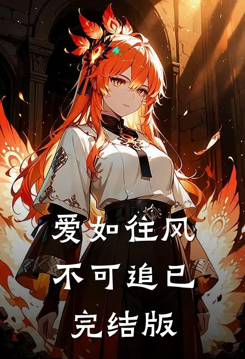 爱如往风不可追已完结版