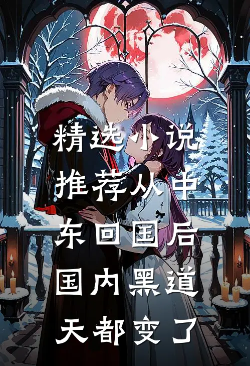 精选小说推荐从中东回国后，国内黑道天都变了