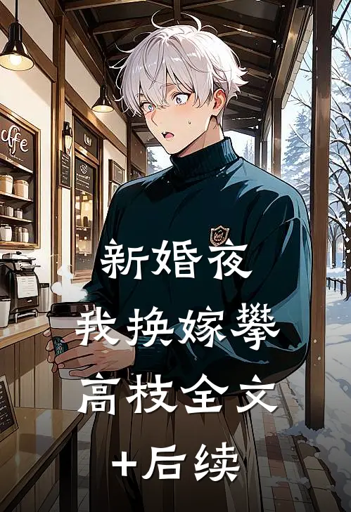 新婚夜，我换嫁攀高枝全文+后续