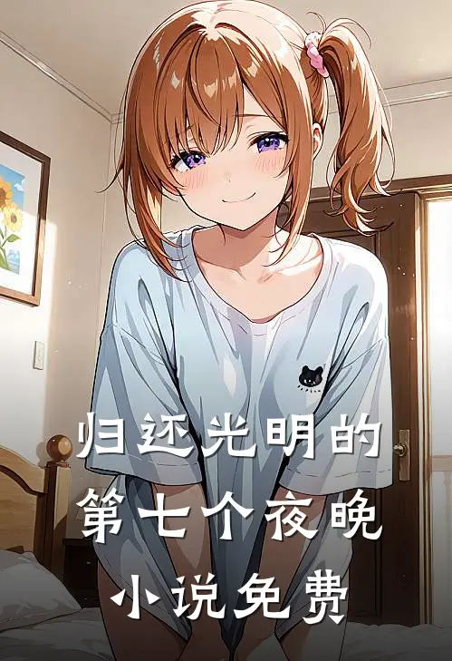 归还光明的第七个夜晚小说免费