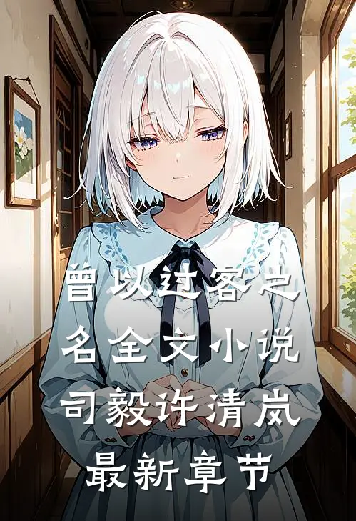 曾以过客之名全文小说司毅许清岚最新章节